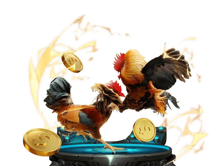 Ưu đãi chào mừng thành viên mới tại 5fit Win